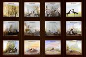 museum de histoire naturelle rouen 8-2021 9511